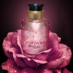 Zimaya Rose of Dreams EPD