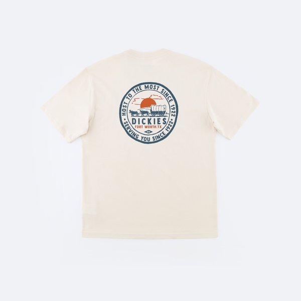 Футболка Dickies Greensburg Graphic T-Shirt (stone whitecap gray) артикул: - купить в магазине Дайс