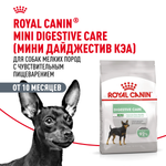 Royal Canin Mini Digestive Care Мини Дайджестив кэа Корм сухой для взрослых собак мелких пород с чувствительным пищеварением 1кг
