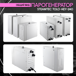 Steamtec TOLO KEY 240 - 24 кВт (ВЛАГОСТОЙКИЙ модуль управления). парогенератор для хамама и турецкой бани