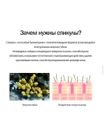 Антивозрастной крем для лица с бакучиолом и спикулами