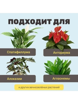 Органический грунт для спатифиллума 5 л