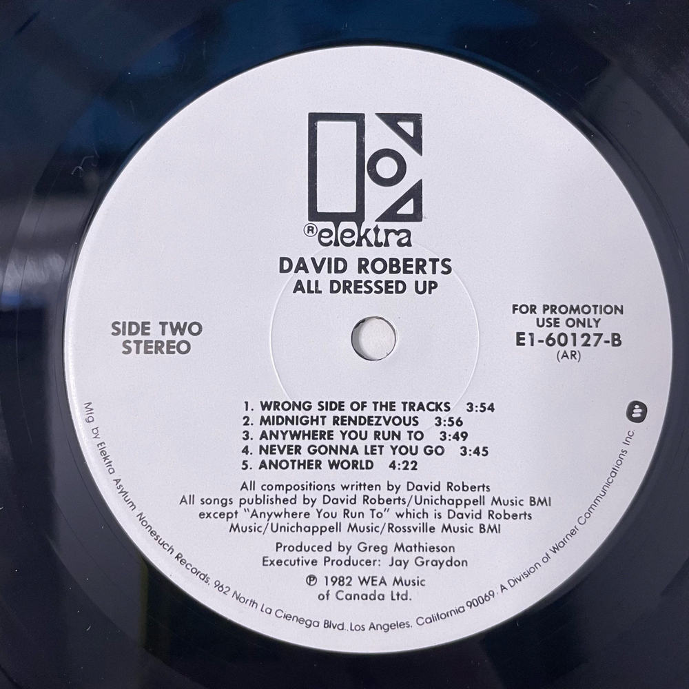 Винтажная виниловая пластинка LP David Roberts, All Dressed Up (Канада 1982)