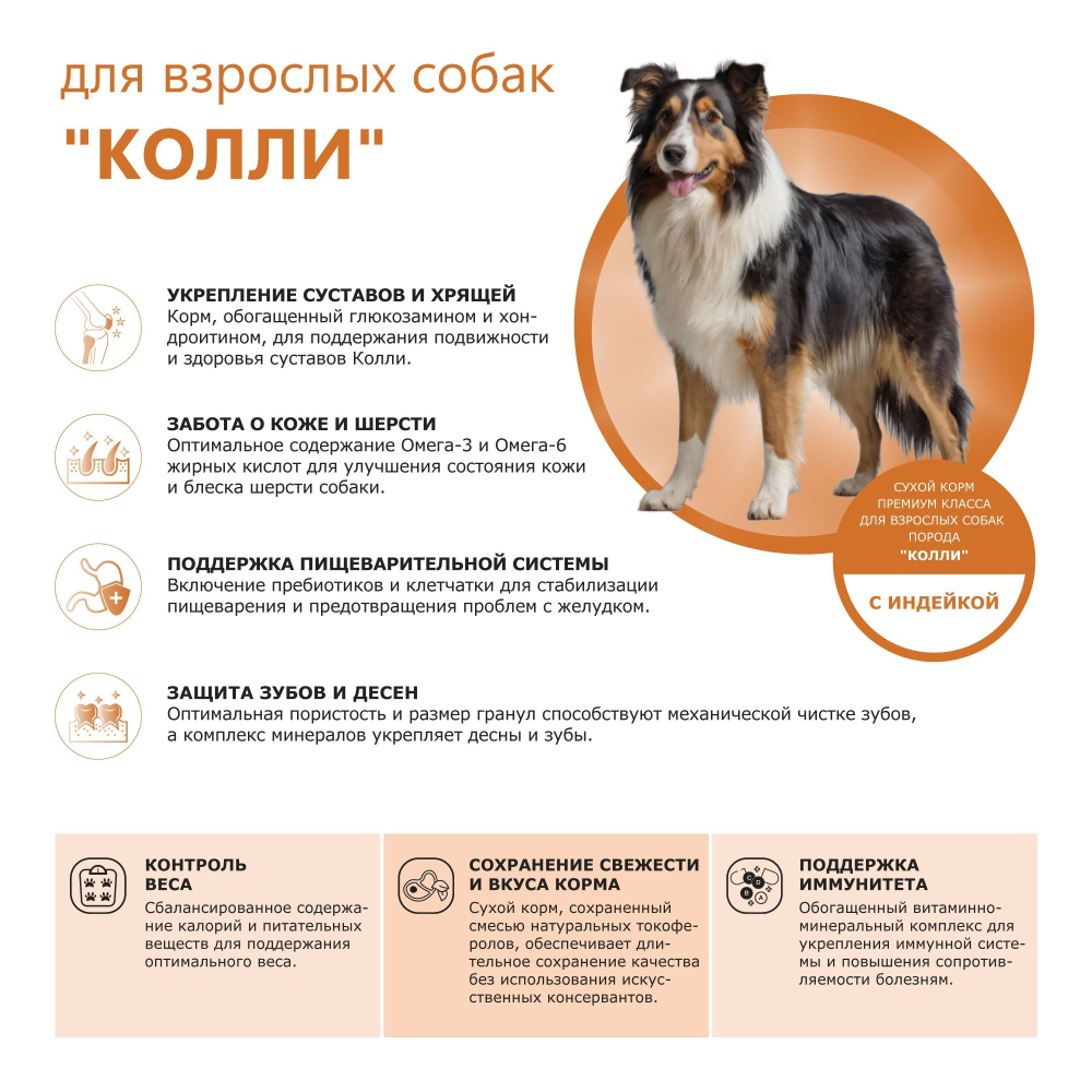 Корм сухой для взрослых собак породы Колли, премиум полнорационный комплекс, с индейкой, 2,5 кг, QUATTRO