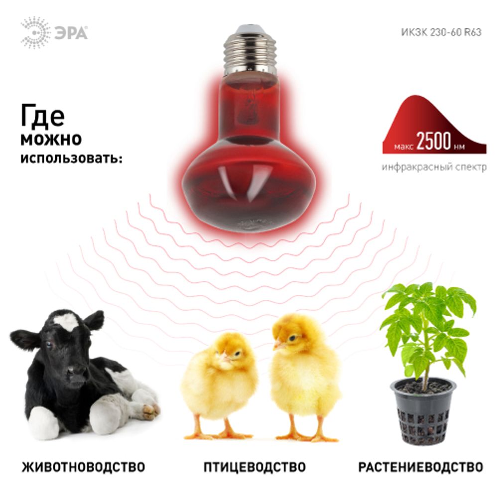 Термоизлучатель инфракрасный зеркальный ЭРА ИКЗК 230-60 R63 для обогрева животных и освещения 60 Вт Е27 | Инфракрасные лампы