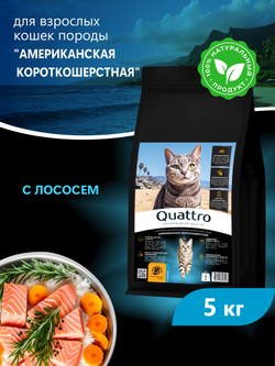 Корм сухой для взрослых кошек породы Американская короткошерстная, с лососем, 5 кг, QUATTRO