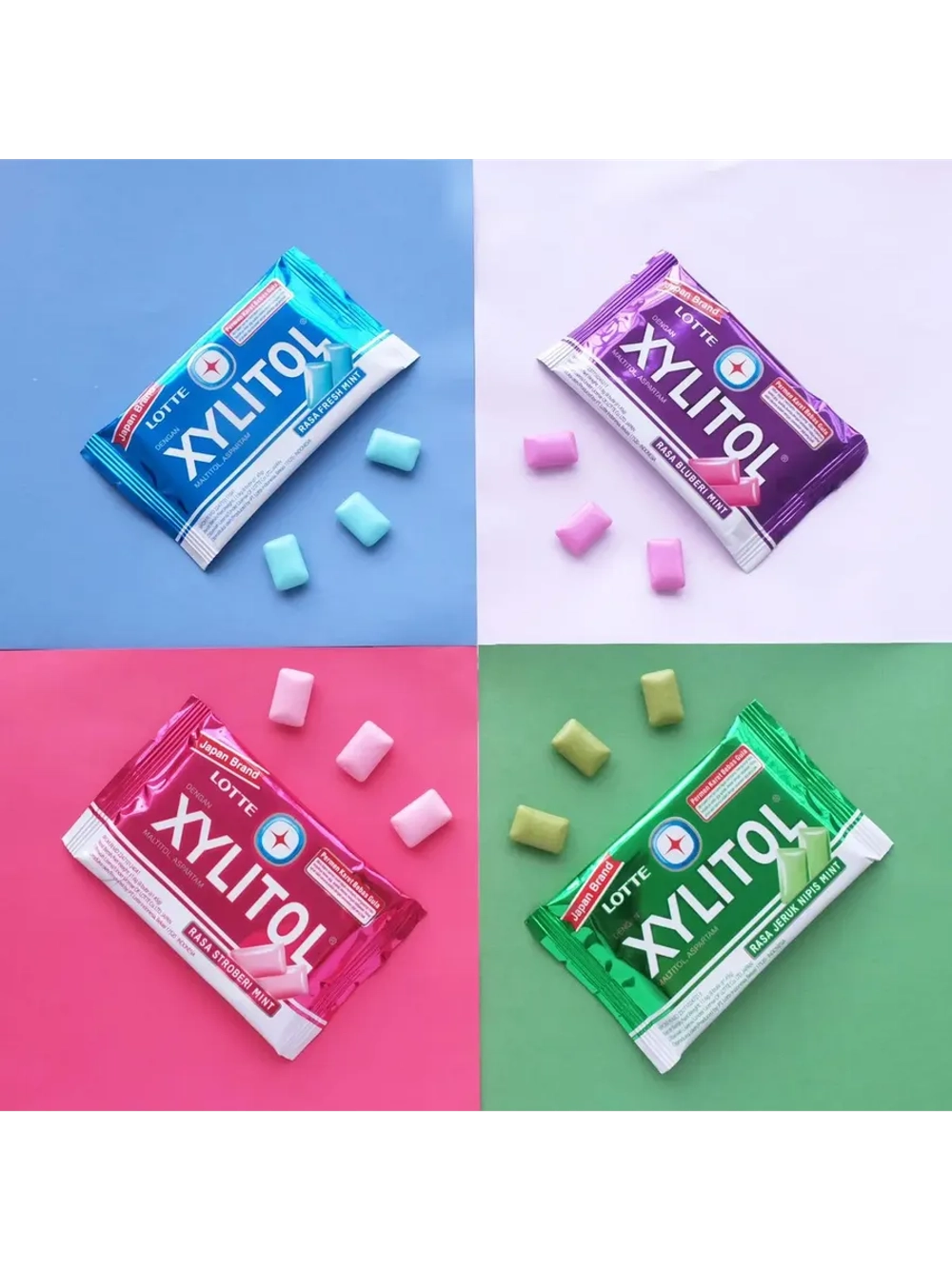 Жевательная резинка Xylitol без сахара "Голубика и Мята" 11,6 * 10 шт
