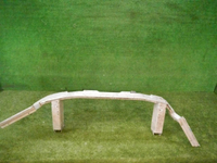 DSCN7767.jpg