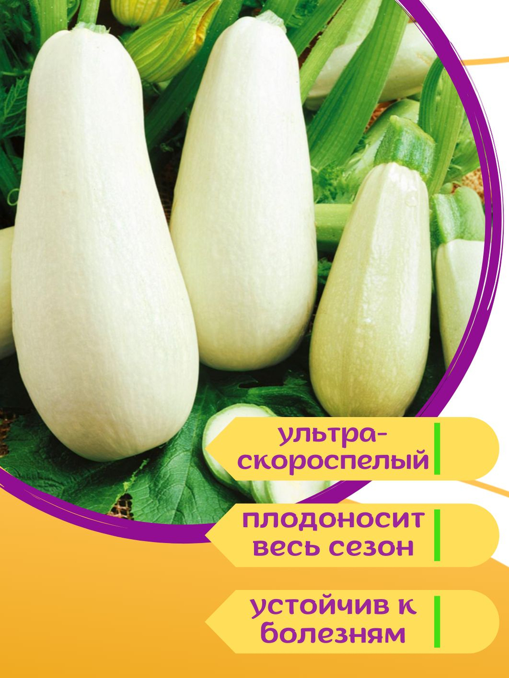 Огурцы китайские жароустойчивые, семена огурцов 0,2 г + семена петрушки или укропа в подарок