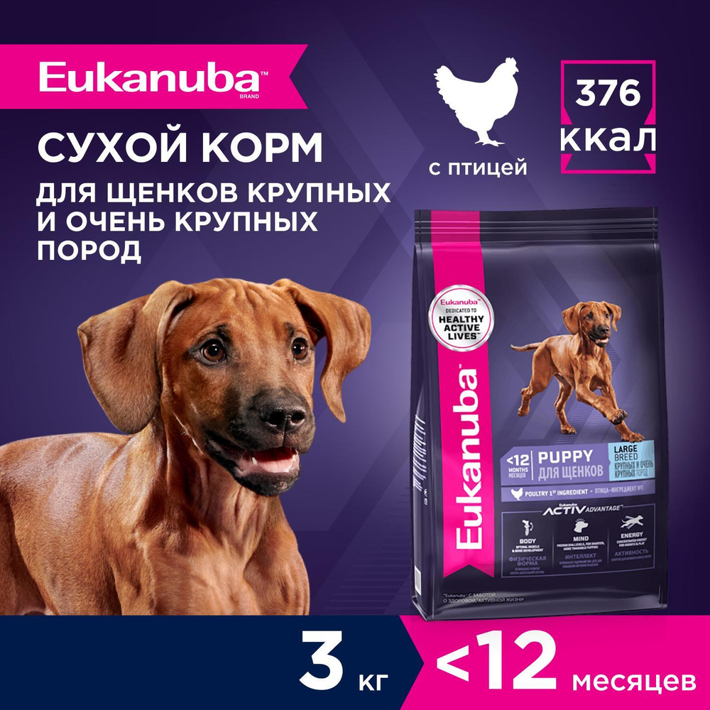 Сухой корм Eukanuba Puppy Large Breed для щенков крупных и очень крупных пород до 12 месяцев с птицей 3 кг