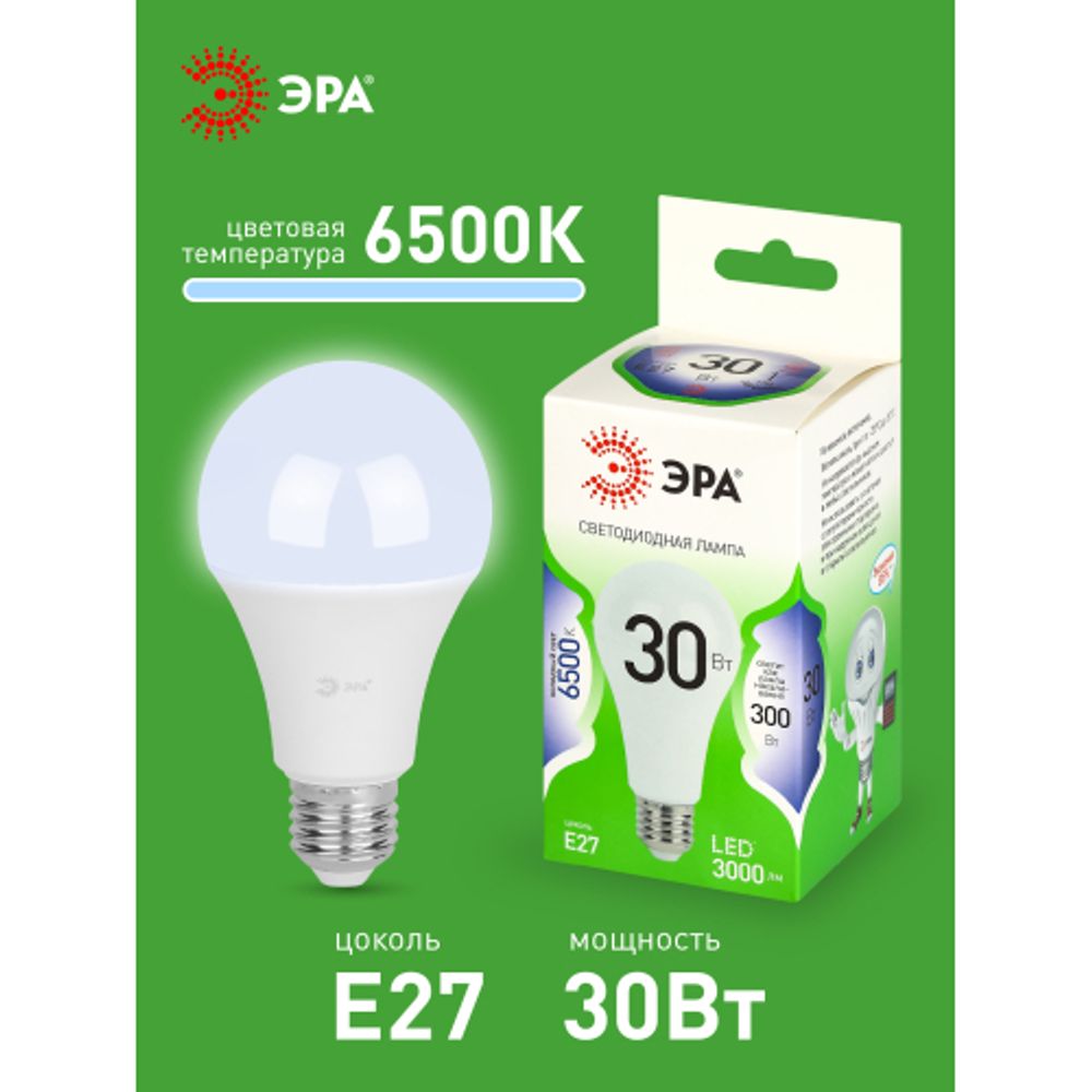 Лампа светодиодная ЭРА GREEN LINE LED A65-30W-865-E27 GL 30Вт груша холодный свет E27 | Лампы cветодиодные Груша (A)