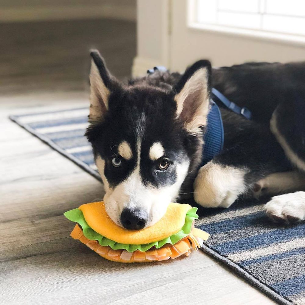 Игрушка NomNomz Тако ZippyPaws