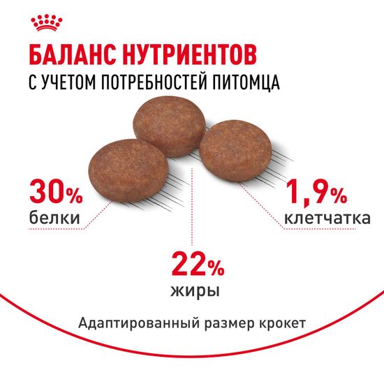 Royal Canin Mini Digestive Care для собак мелких пород с чувствительной пищеварительной системой