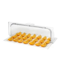 Поднос блюдо для выкладки 53*32,5*19 см фарфор с пласт. Roll-top крышкой SUNNEX