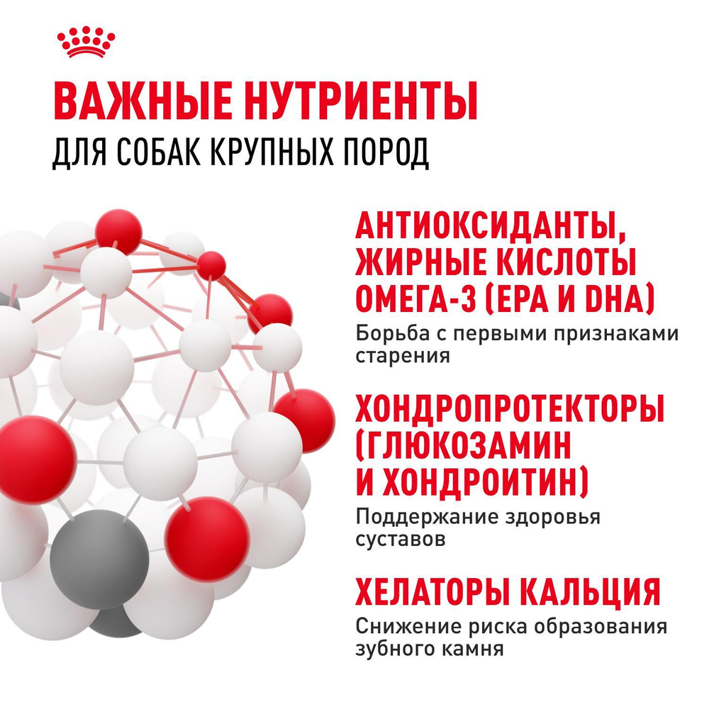 Royal Canin Maxi Adult 5+ Макси Эдалт Корм сухой для взрослых собак крупных пород старше 5 лет 4кг