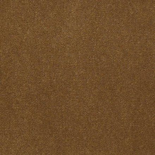 Ковровое покрытие Shaw Floors Emphatic II 30 56220 BURNISHED
