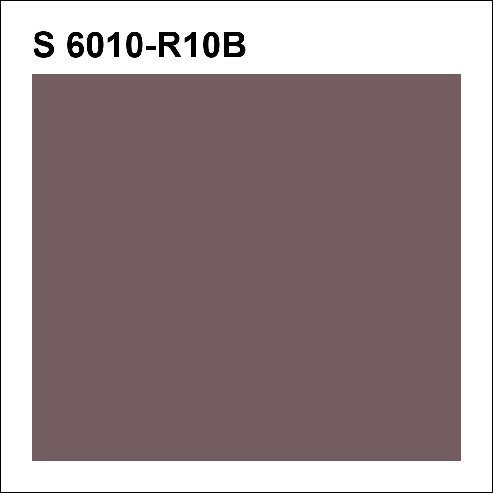S 6010-R10B за кг