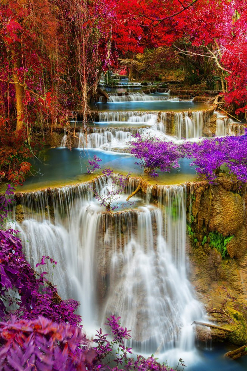 Природа №15 Фотообои и Фрески ручной работы