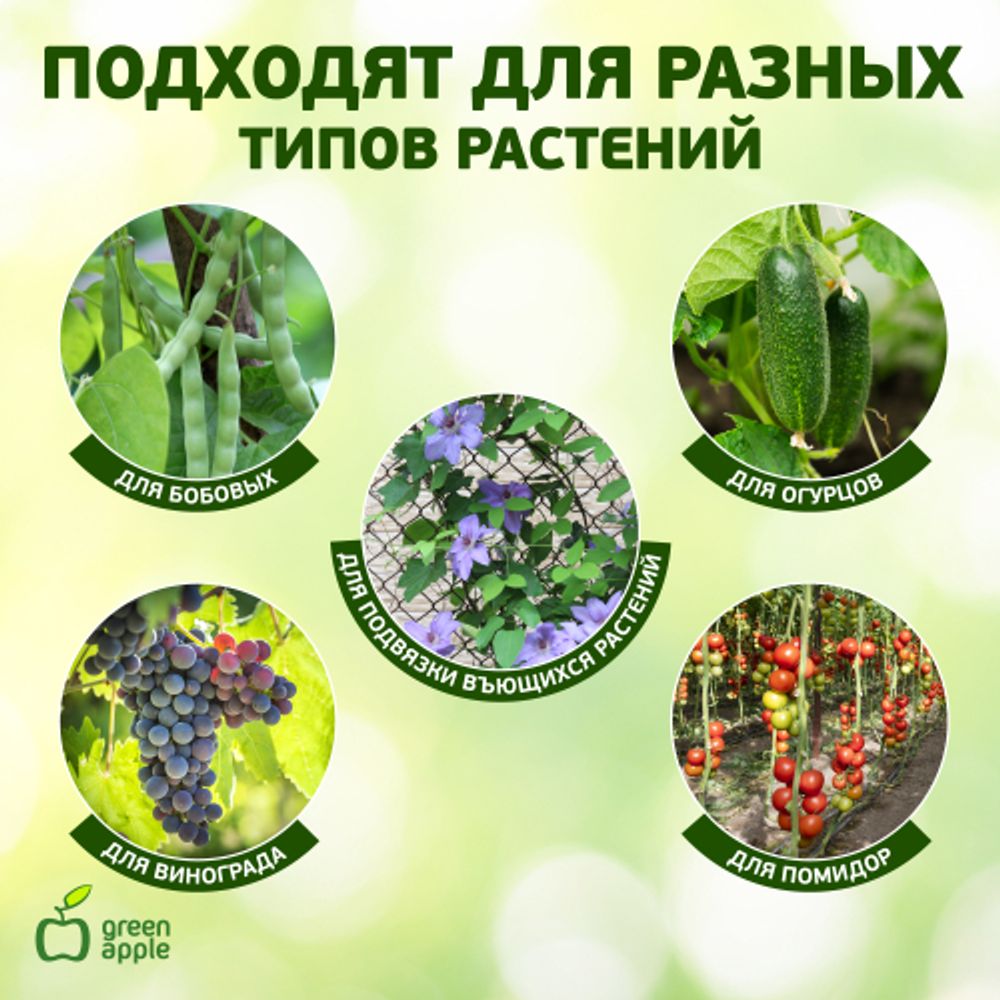 GPCR-2 GREEN APPLE Кольцо фиксатор цепочка | GREEN APPLE