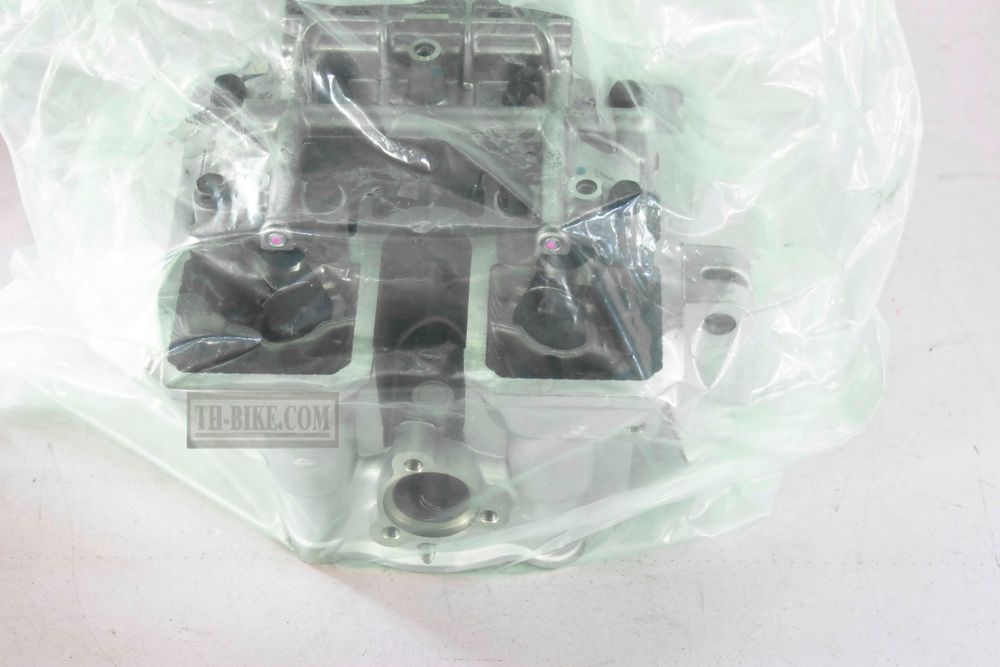 11002-0039. HEAD-ASSY-CYLINDER. Kawasaki KLX250 2009-2013.