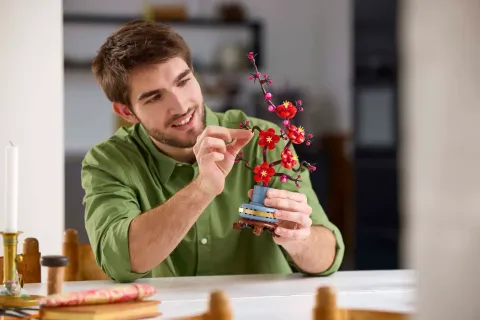 Конструктор LEGO Botanical Collection 10369 Цветок сливы