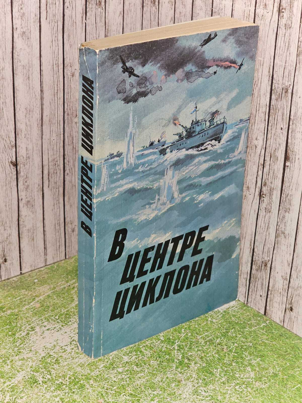 В центре циклона. Рудный Владимир Александрович