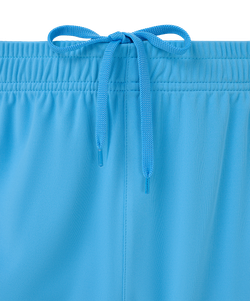 Шорты игровые Jogel DIVISION PerFormDRY Union Shorts, голубой S2