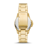 Мужские наручные часы Fossil FS6030