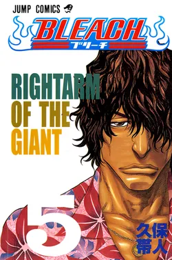 Bleach Vol 5 (на японском языке)