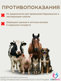 Мелоксикам противовоспалительный растров для кошек и собак