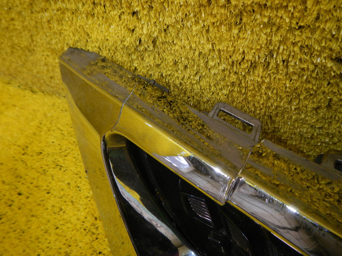 DSCN6772.JPG