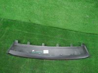 DSCN8408.JPG