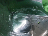 DSCN8638.JPG