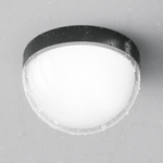 Уличный потолочный светильник Outdoor O438CL-L12GF3K