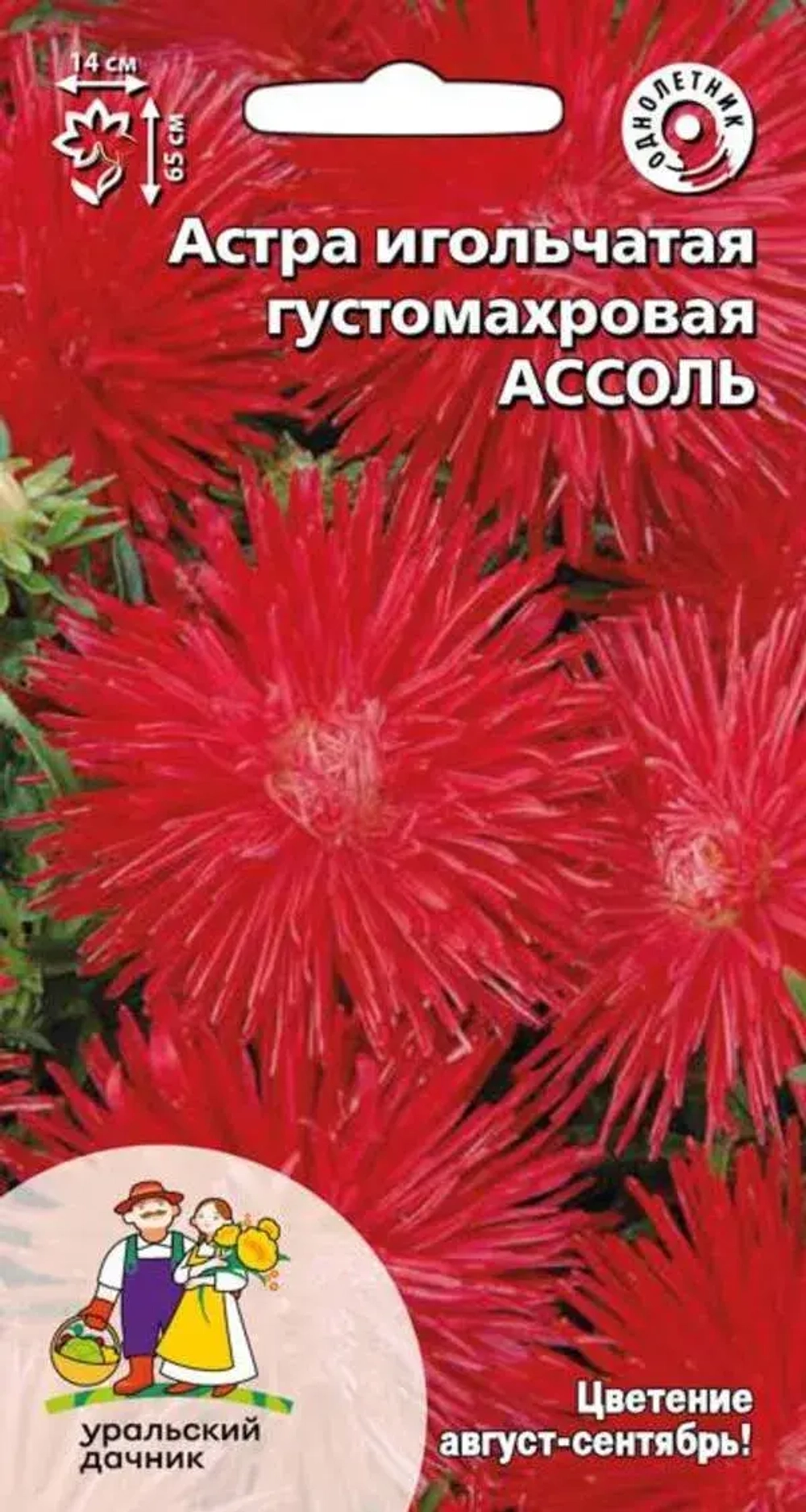 Семена Астра игольчатая густомахровая Ассоль (УД) Е/П