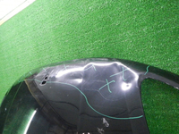 DSCN9646.JPG