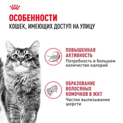 Royal Canin Fit 32 Корм сухой сбалансированный для взрослых умеренно активных кошек от 1 года - 2 кг