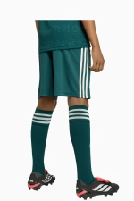 Шорты adidas Real Madrid 26/27 Away Junior - зеленый