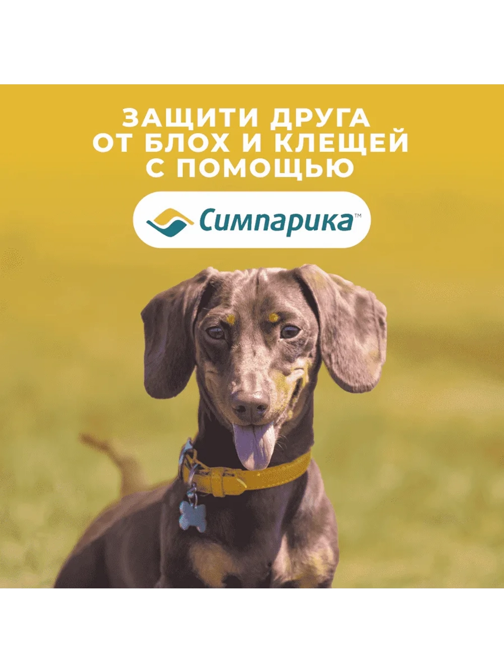 Симпарика, таблетки для собак весом от 5,1-10кг, 3 таб.