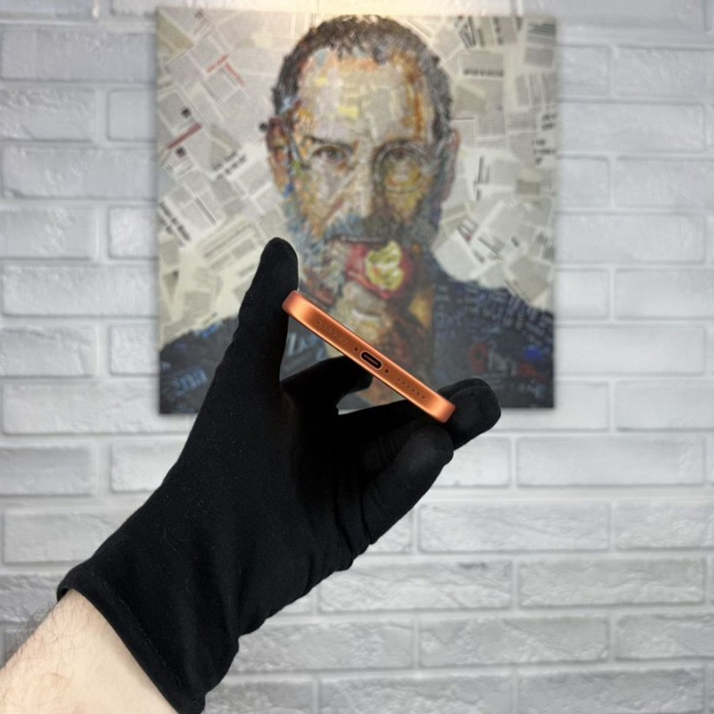 iPhone 17 Pro Max, 256 ГБ, eSIM, б/у