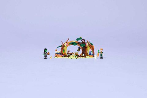 Конструктор LEGO Wicked 75687 Elphaba's Retreat