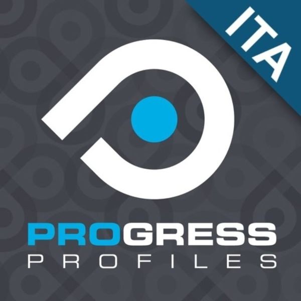 Ликвидация итальянских профилей Progress Profiles по закупочным ценам 2020 года Ликвидация итальянских профилей Progress Profiles по закупочным ценам 2020 года