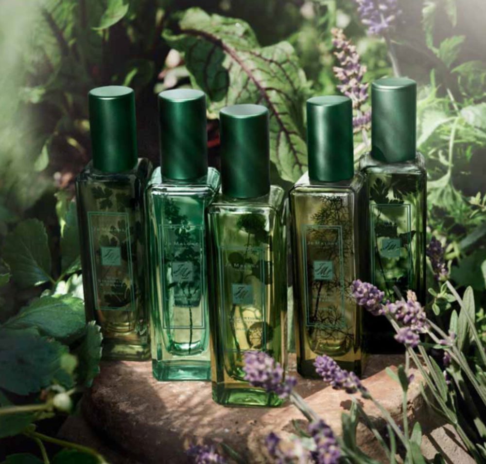 Jo Malone London Lavender and Coriander