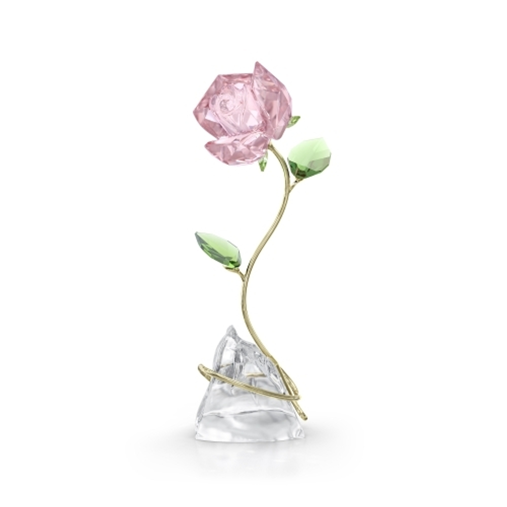 FLORERE:ROSE