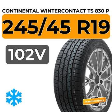 Continental WinterContact TS 830 P 245/45 R19 102V XL