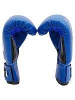 Перчатки боксерские Rusco Sport 4-6 OZ