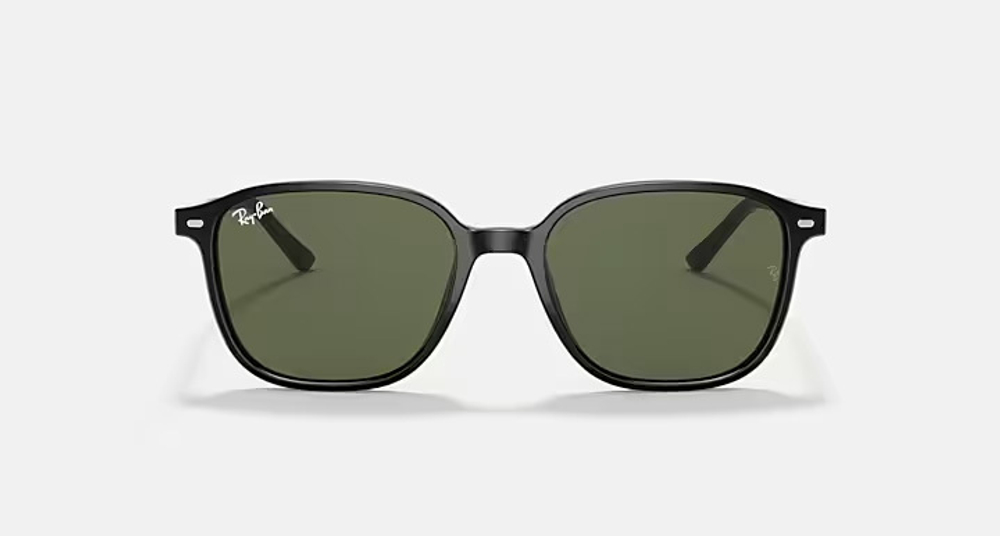 RAY-BAN LEONARD RB2193 901/31