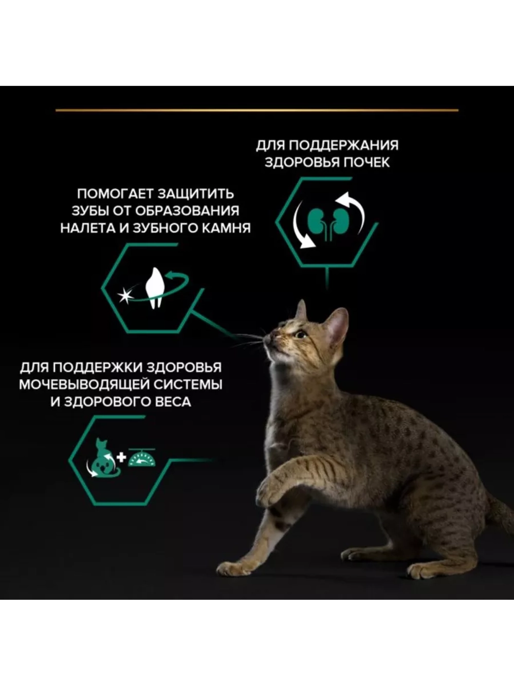 Корм для кошек Индейка 1,5кг