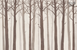 ARBRE 17