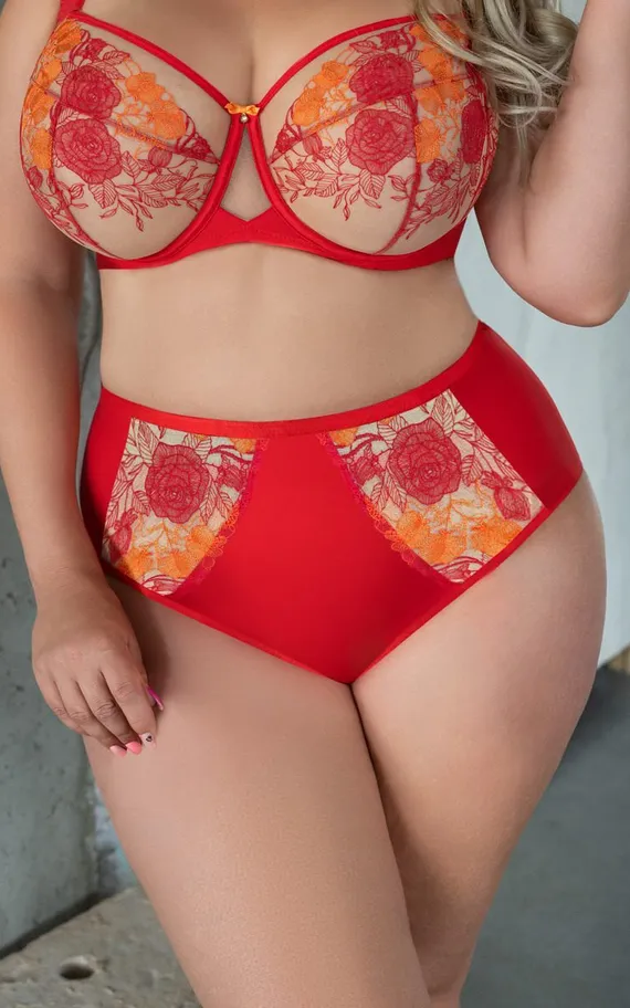 SWEETHEART Briefs Трусы слипы